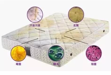 沙发机清洗床垫.jpg